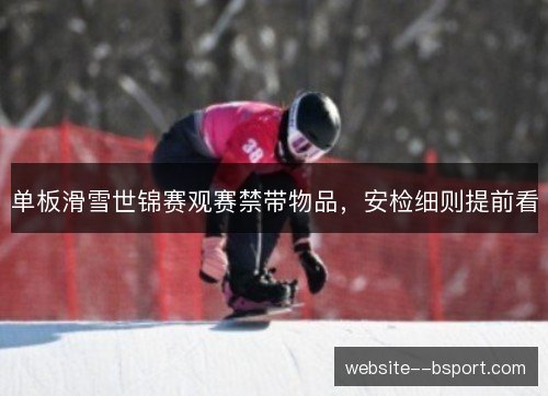 单板滑雪世锦赛观赛禁带物品，安检细则提前看